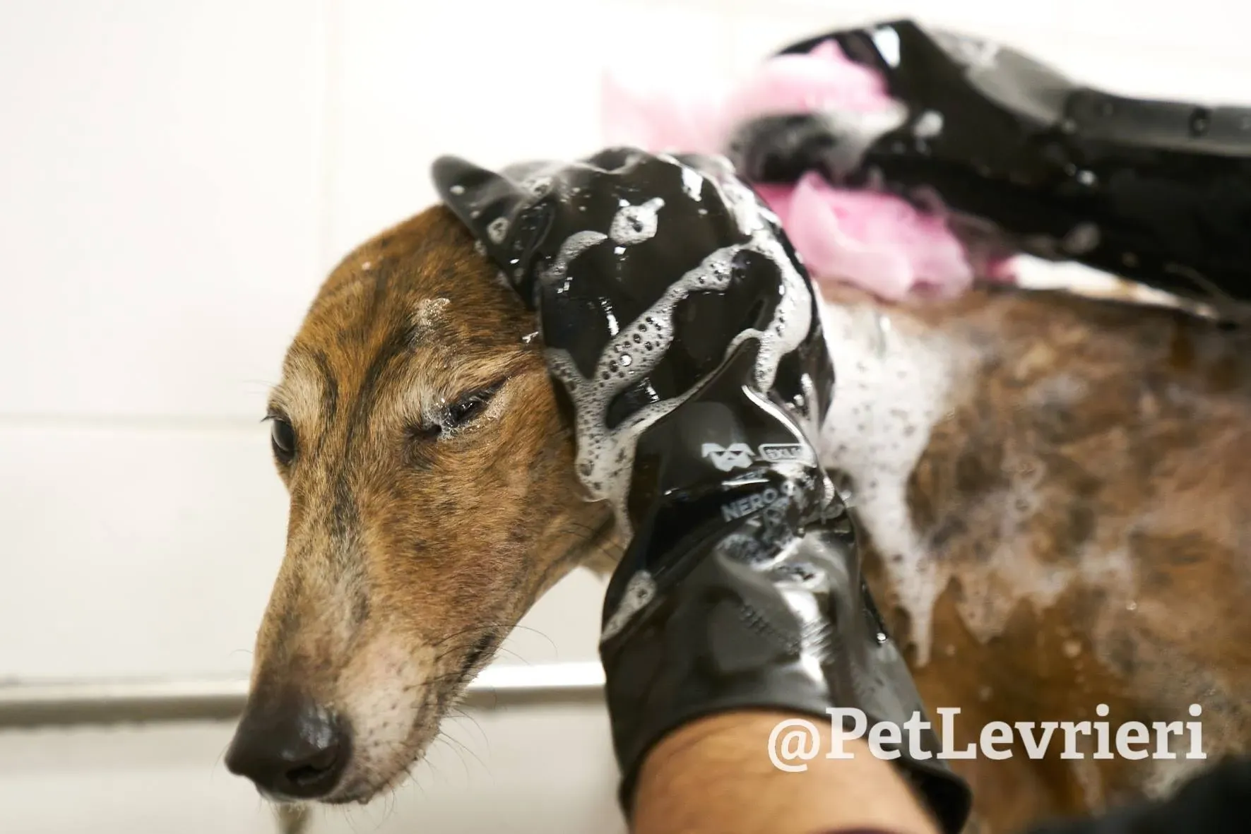 C16BC670 D696 4322 98DC 81D3A125674B