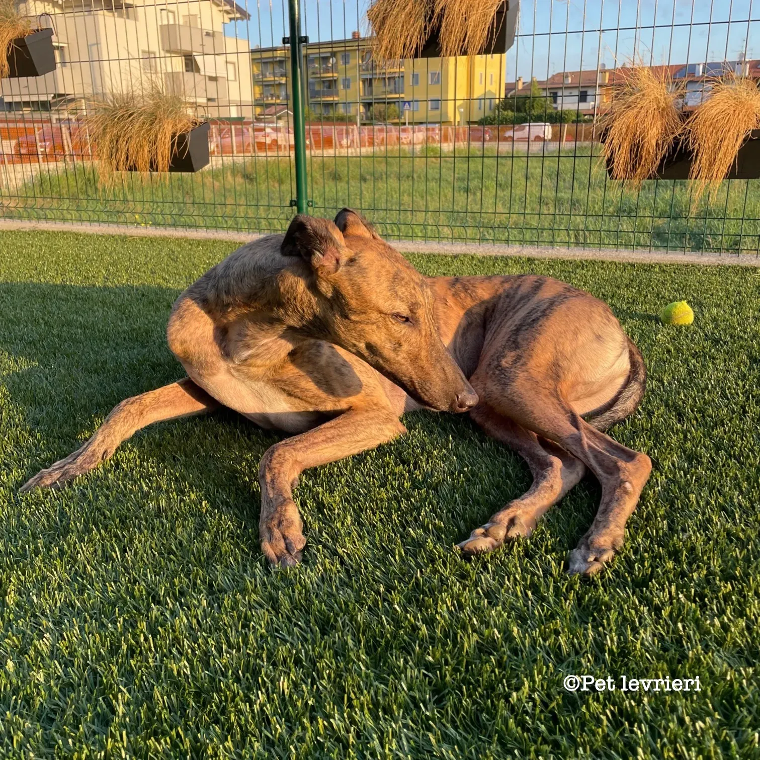 C1F8020A 2DC9 4131 B61D E4200851EB15