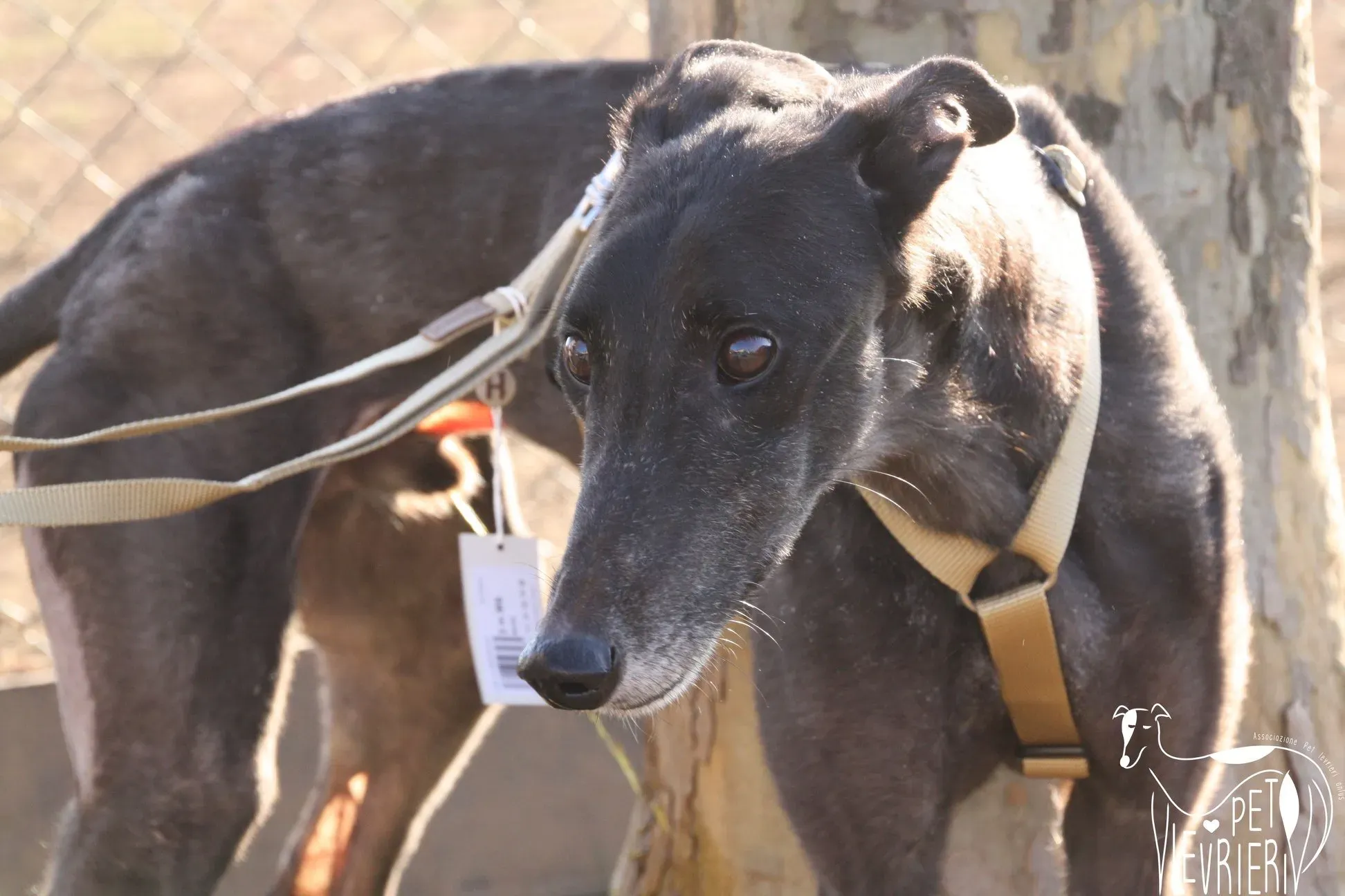 C37ADEEA 39F0 4D4D 9D96 27AF10BECA7E