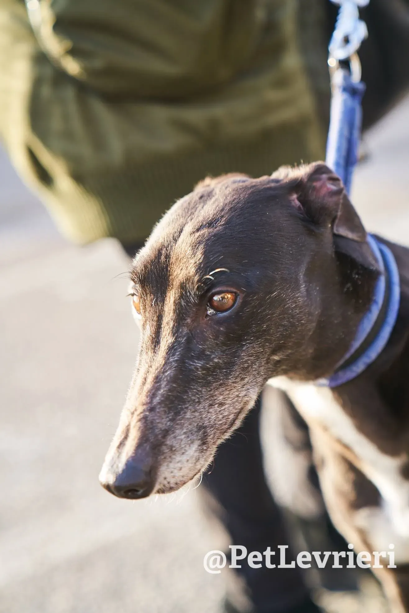 C3F73959 88D0 4417 9E8F 670256BC1580