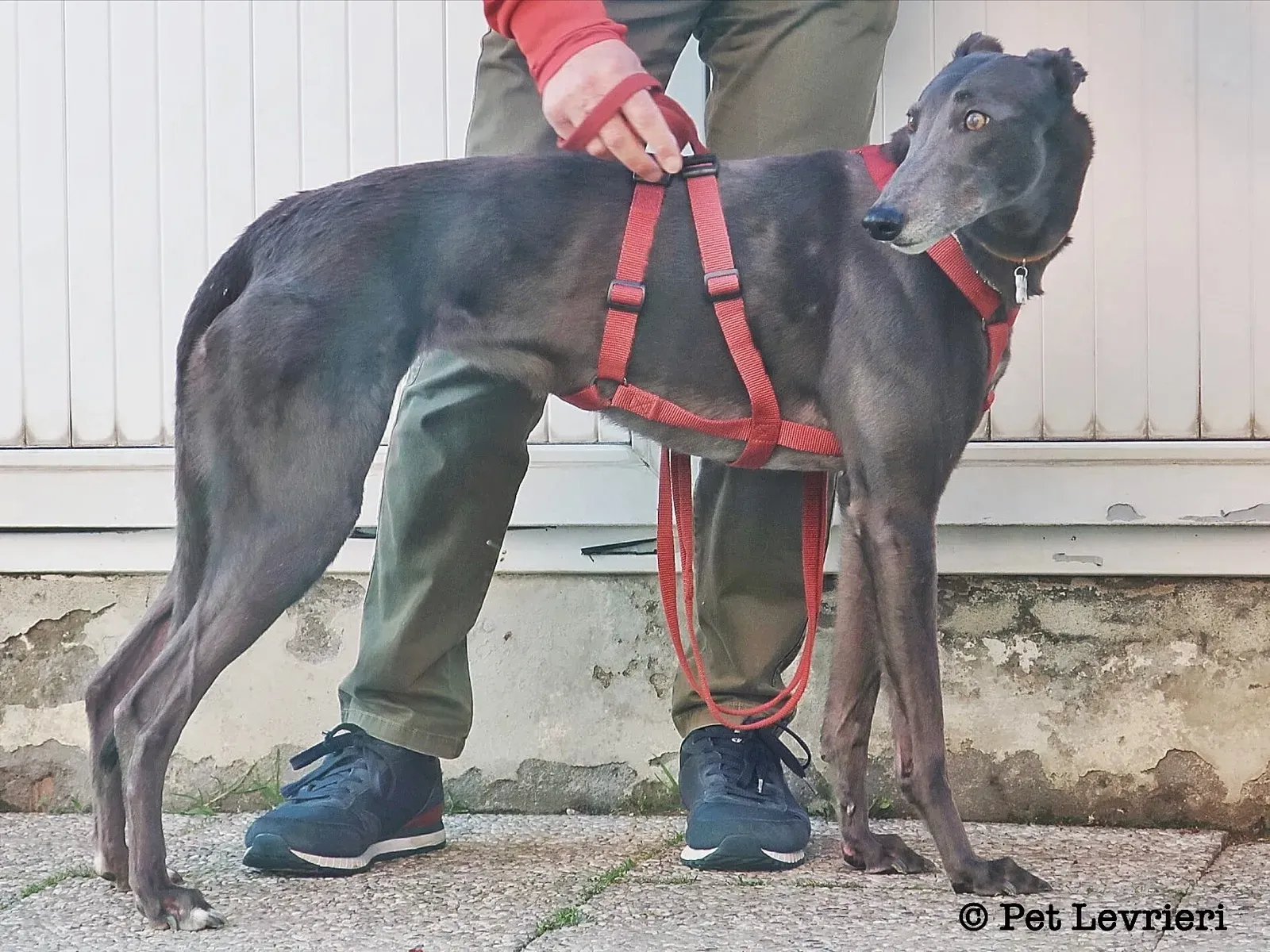 C4D309D9 7671 4A0E 8B09 41B87D18A5A8