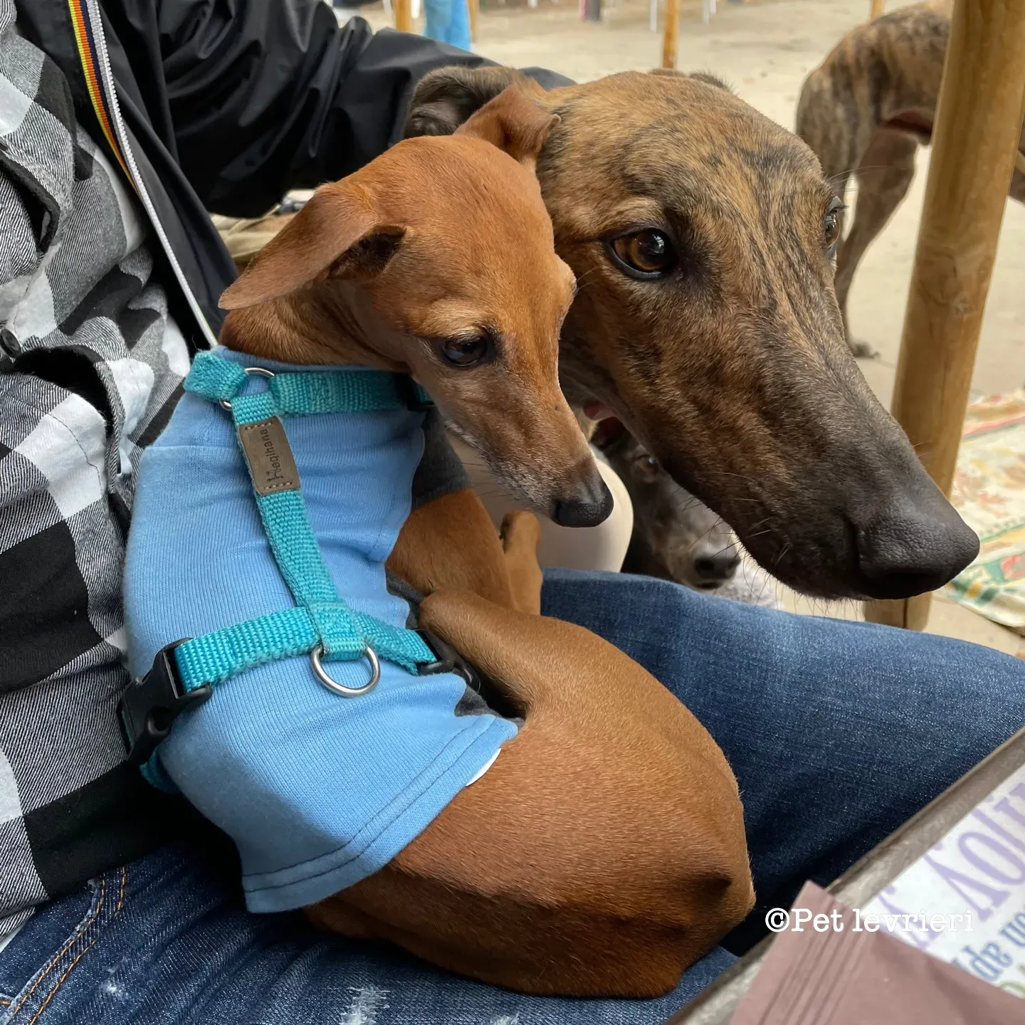 C5A8BC61 6408 494F A7E6 BF8A69061268