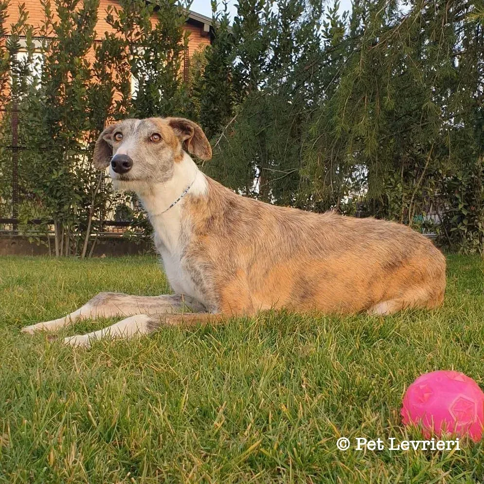 C73E1CBF 3BD3 4148 835B 223223D72821