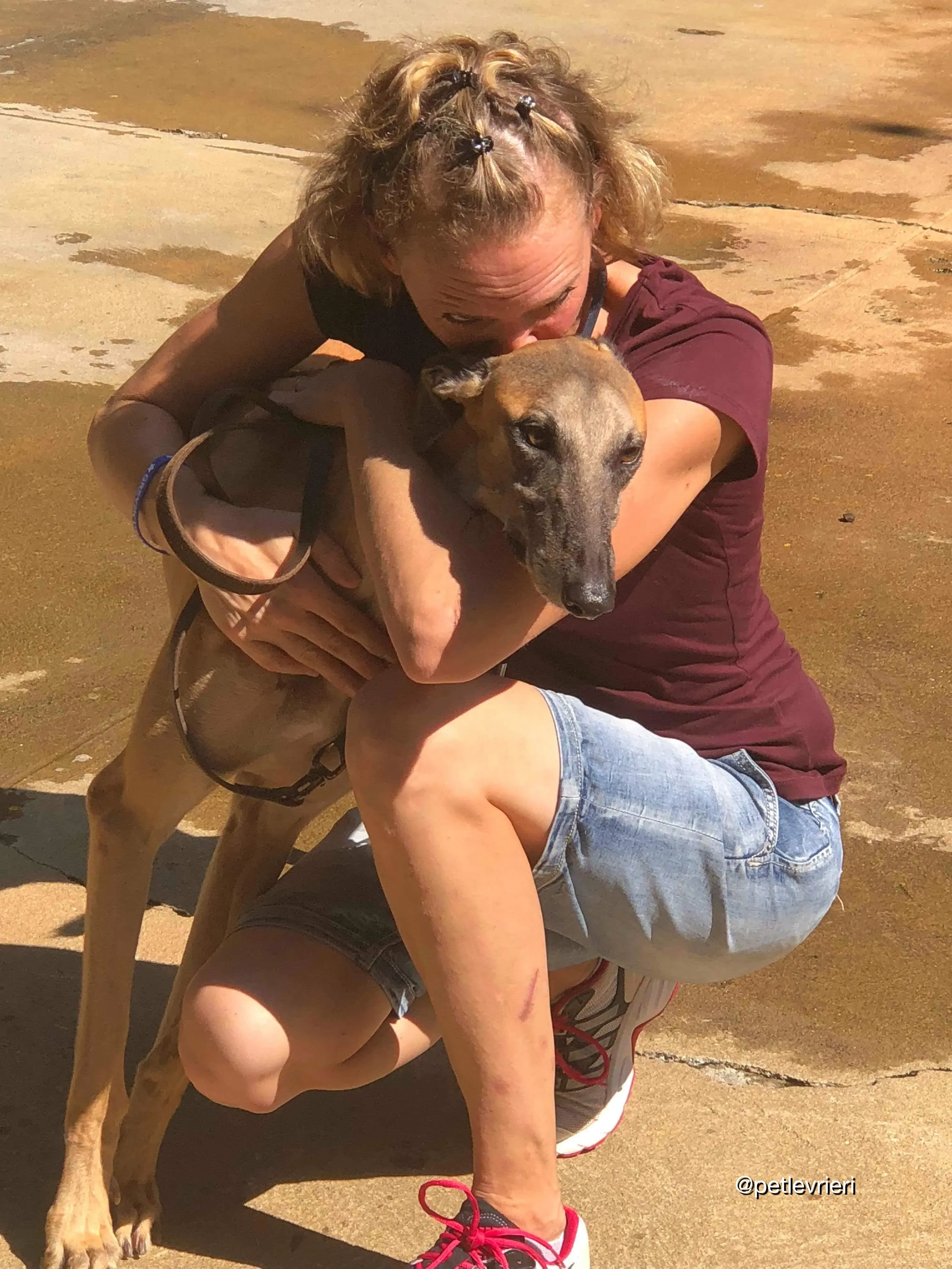 C91BB736 0A38 4EA5 BA5A 0EC6CE56C475