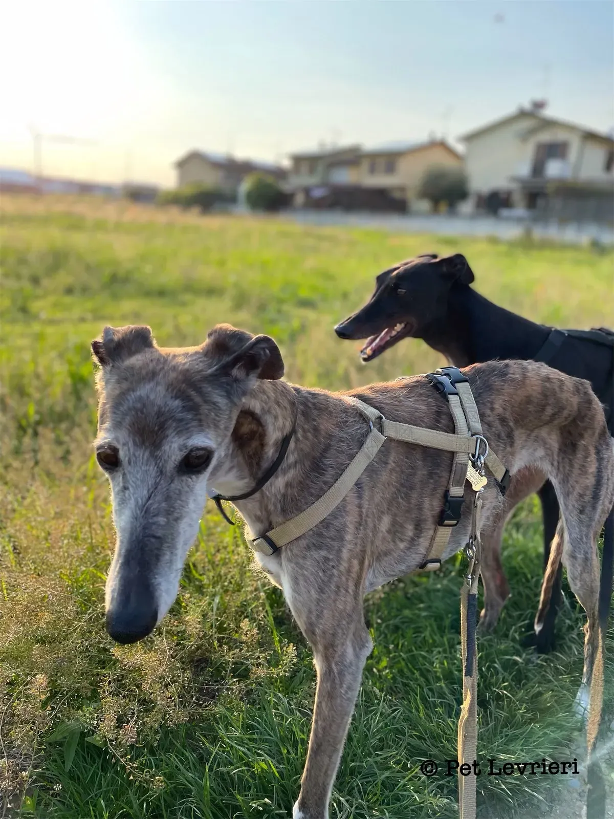 C91F1AEE 87A4 4373 97D8 2E63012B7D2B