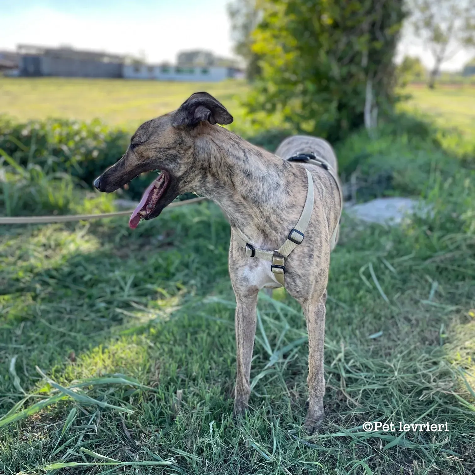 C9D98FE5 F627 44AB 8A65 7B1D65B2742B