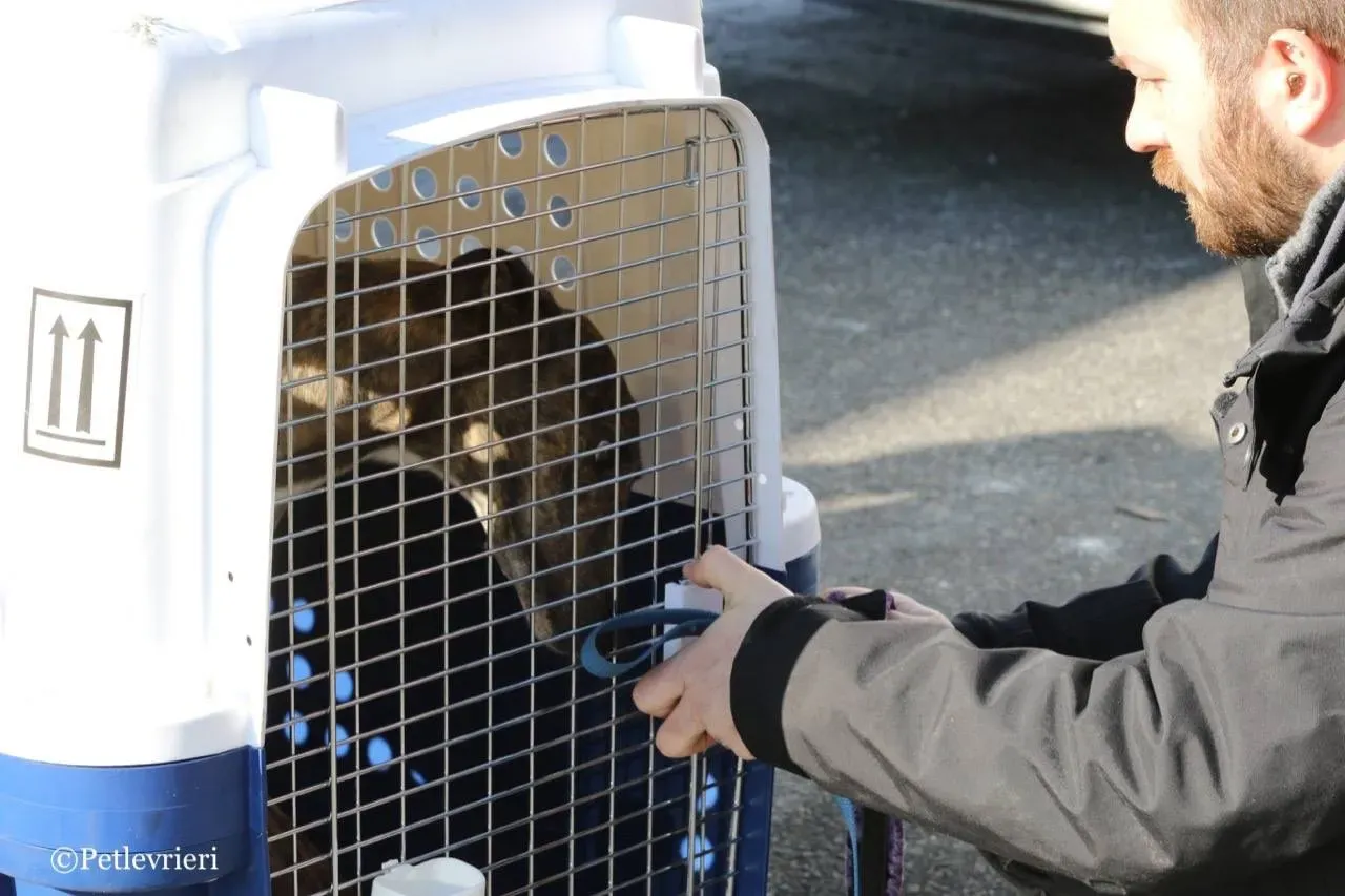 CA834B39 57F9 4E03 8412 305DBAA06527