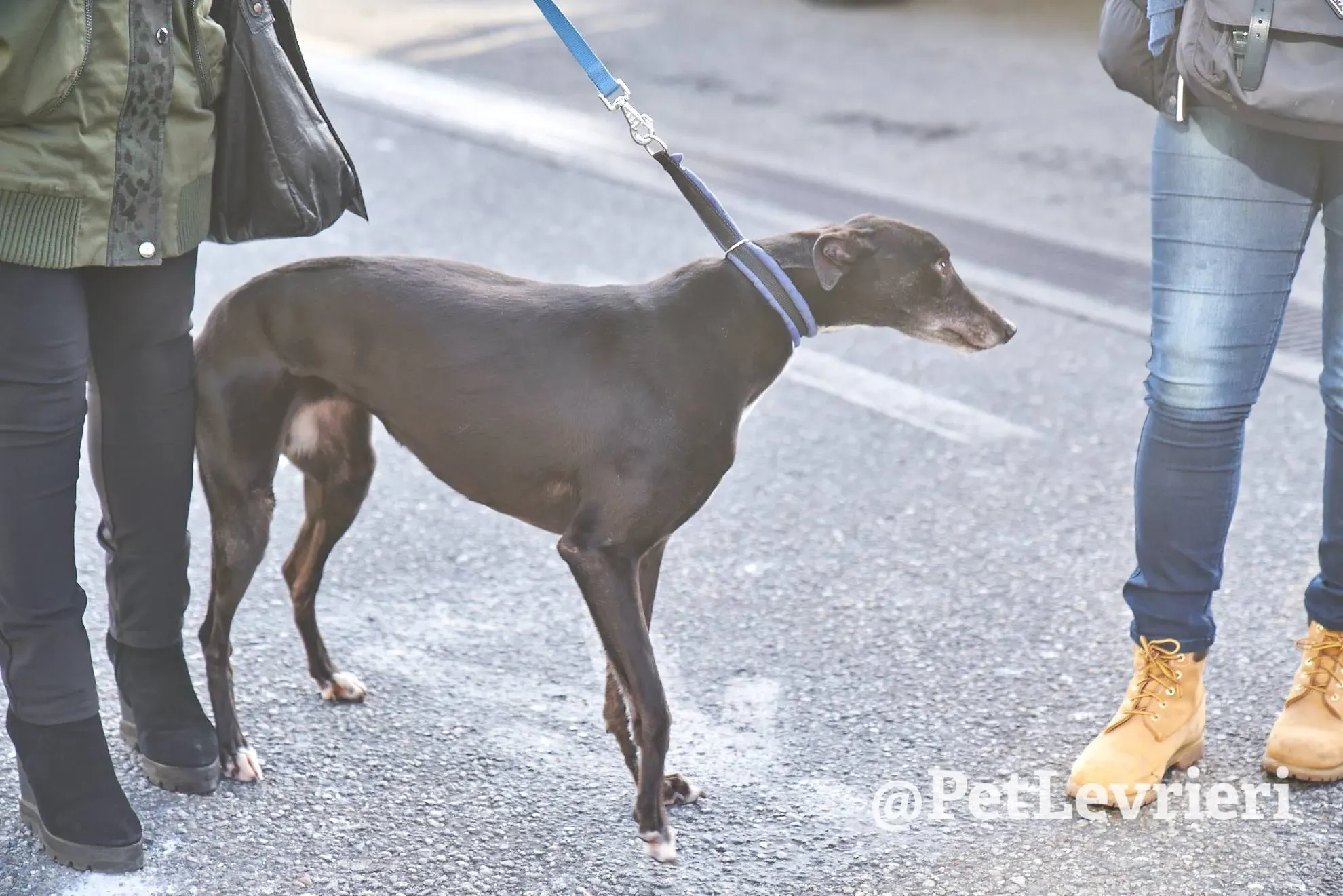 CAD7929A 93C7 49D9 87DA 4ACCDB528F3E