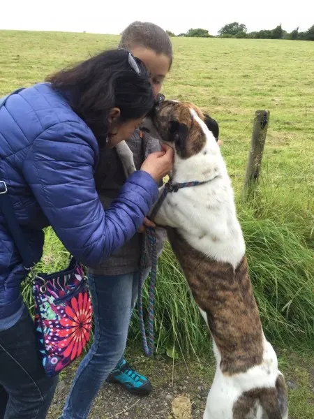 CC8F5EE8 A20B 472C 86F0 34AFD8D997A1@bandablu