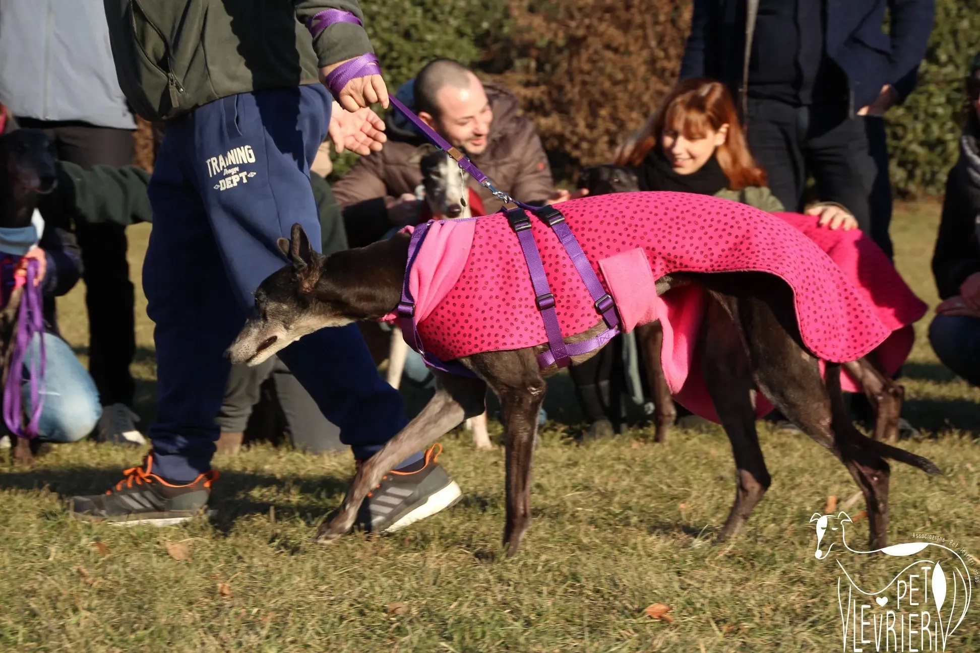 CD354067 4D4D 4971 9121 F659676090F0