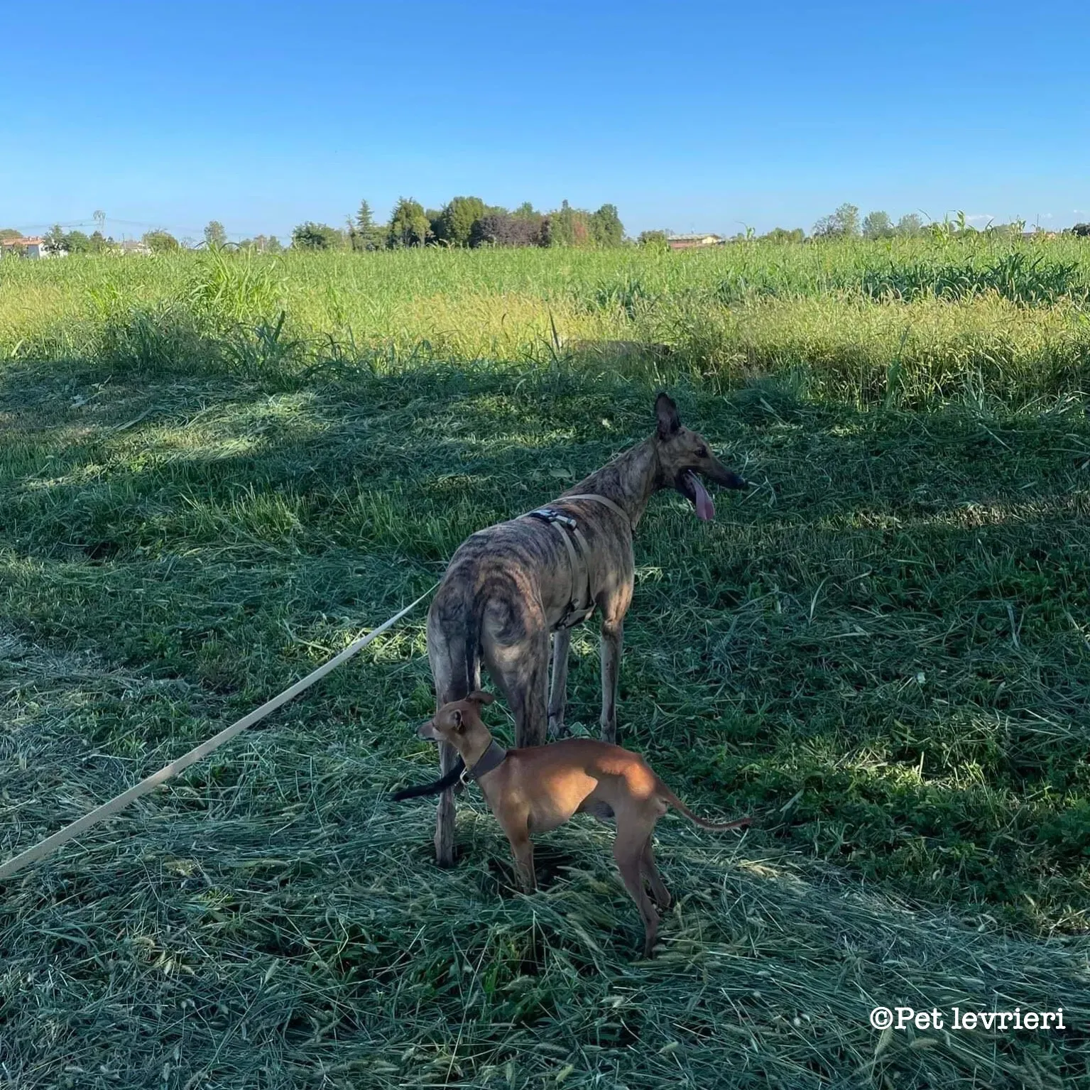 CED64796 B574 4046 A50C 50BCC17C8E14