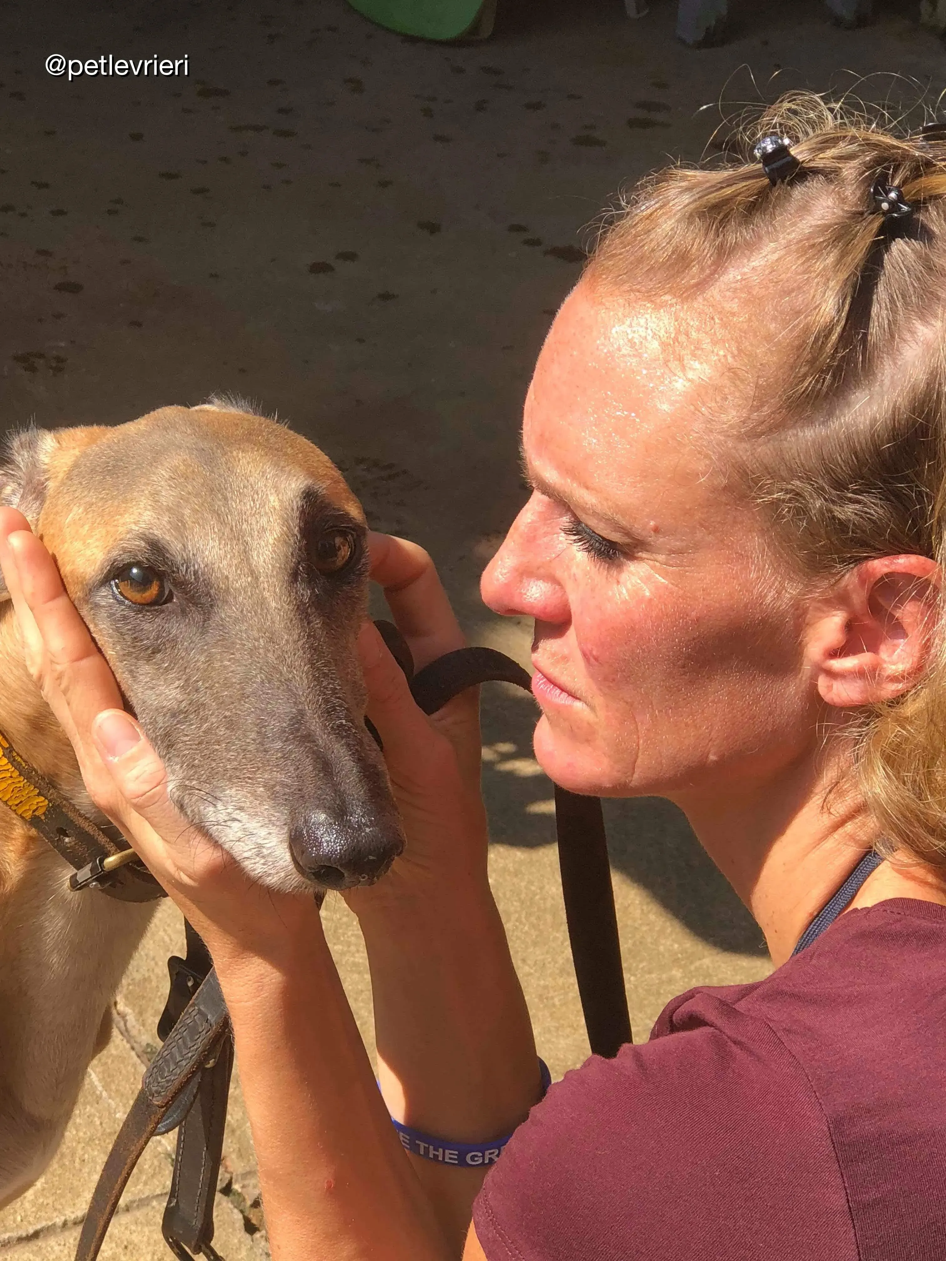 CF63C7C3 9C34 4363 89F0 8F09F2AE3D32