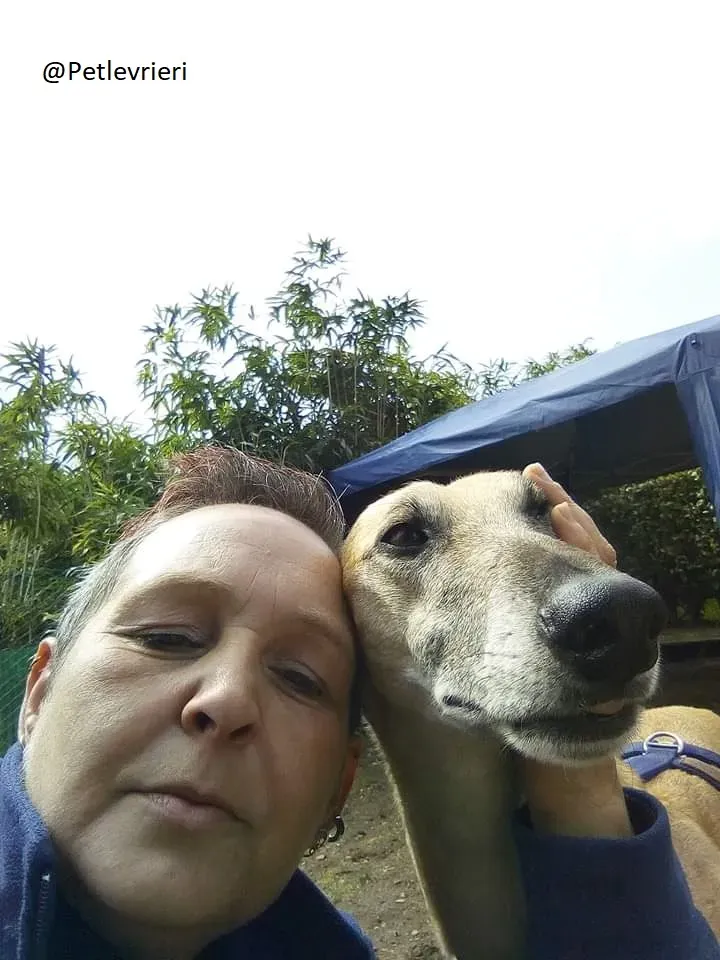 Cacique Galgo Foster Progetto Foster 1