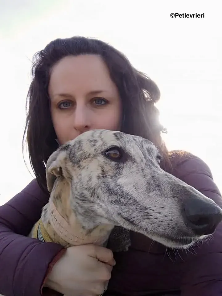 Camy adozione levrieri galgo 06