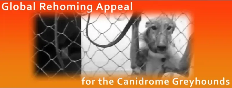 Canidrome graphics facebook cover2
