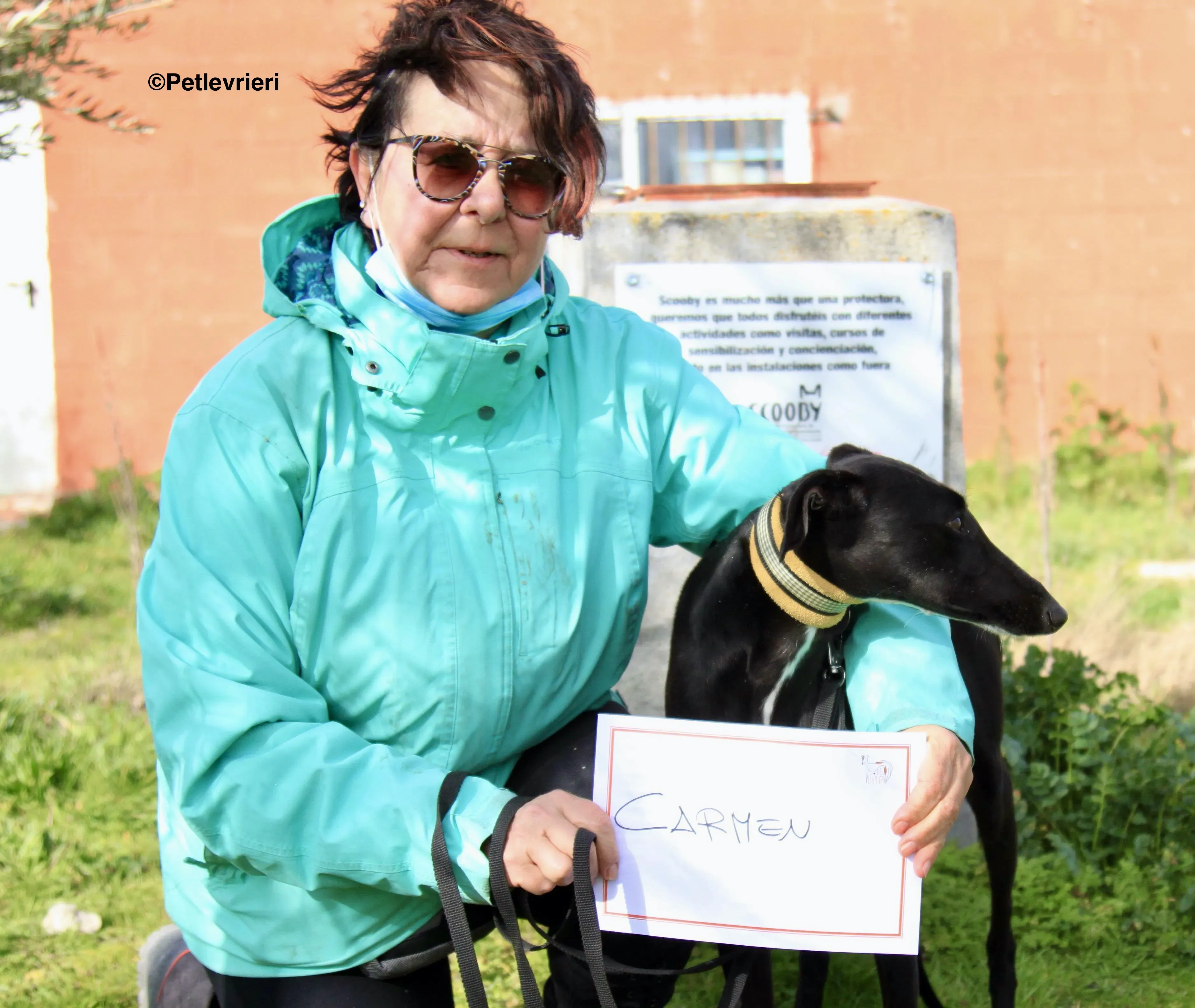 Carmen adozione levrieri galgo 17