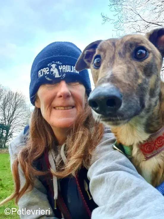 Cavani adozione levrieri greyhound 6