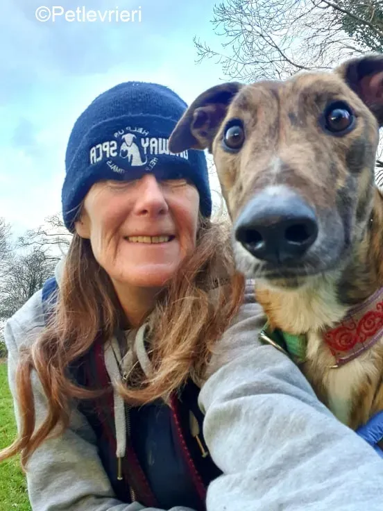 Cavani adozione levrieri greyhound 7