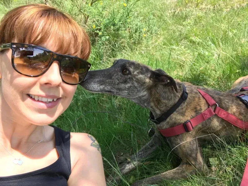 Chicana galgo petlevrieri petlevrierionlus 2