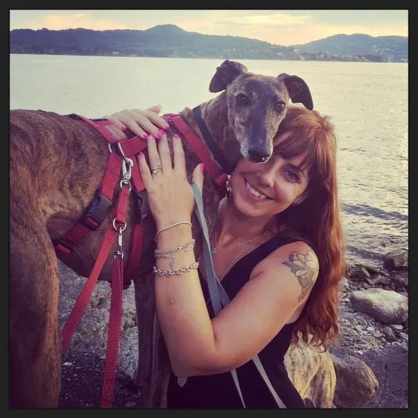 Chicana galgo petlevrieri petlevrierionlus 3