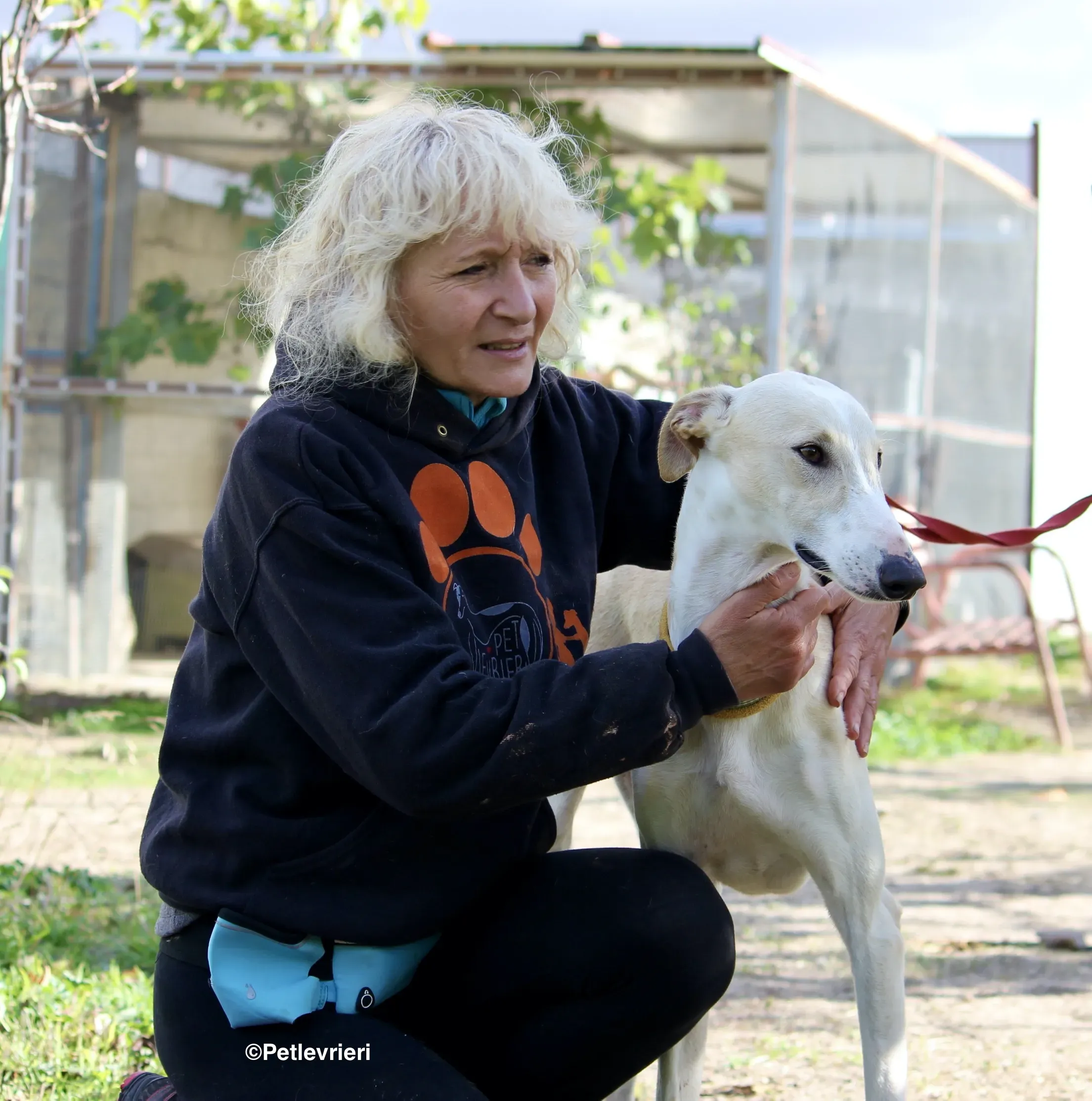 Chip 8748 adozione levrieri galgo 24