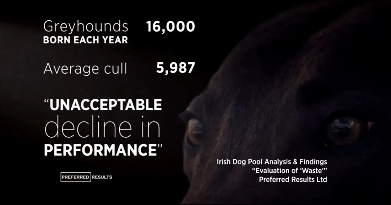 D A 1NUXkAE 2XP.jpg large