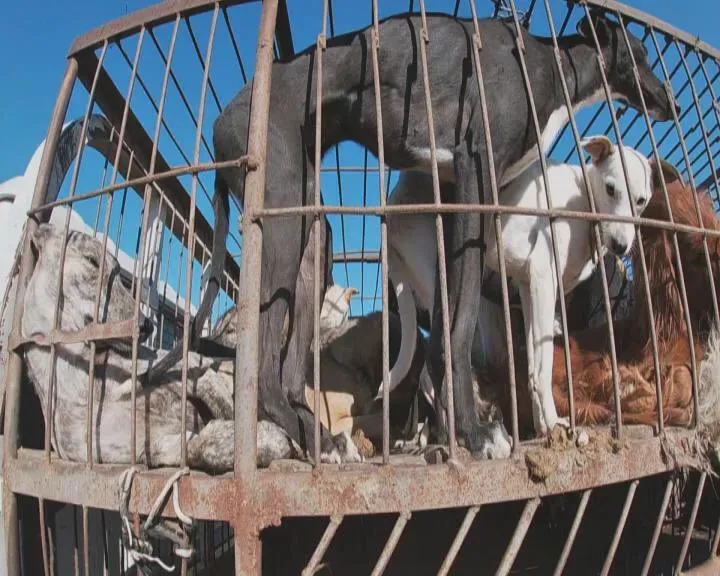 D BIoi8W4AY6rrr.jpg large