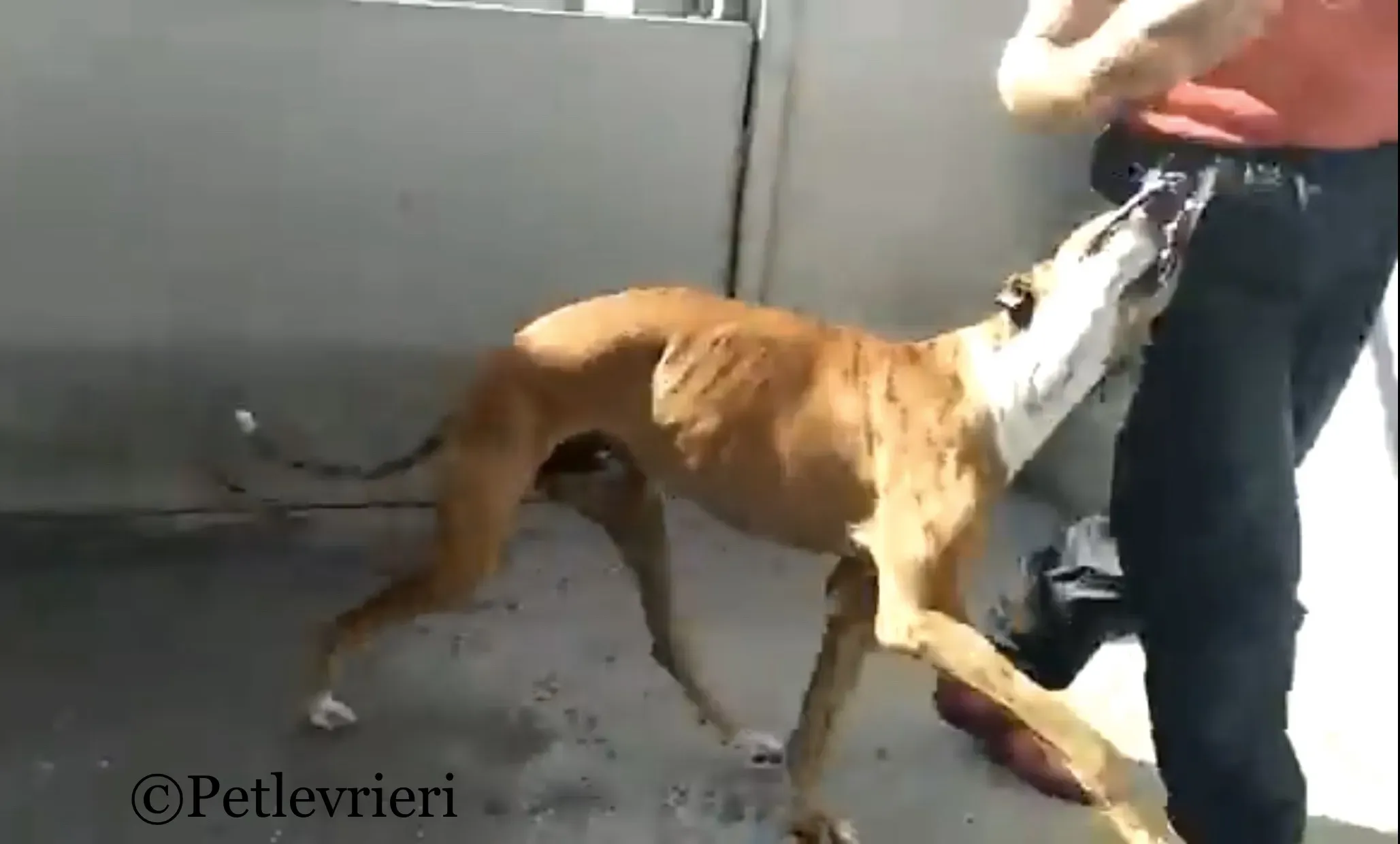 D1C8A339 F3A0 4ADF 860D 4871888D4D17