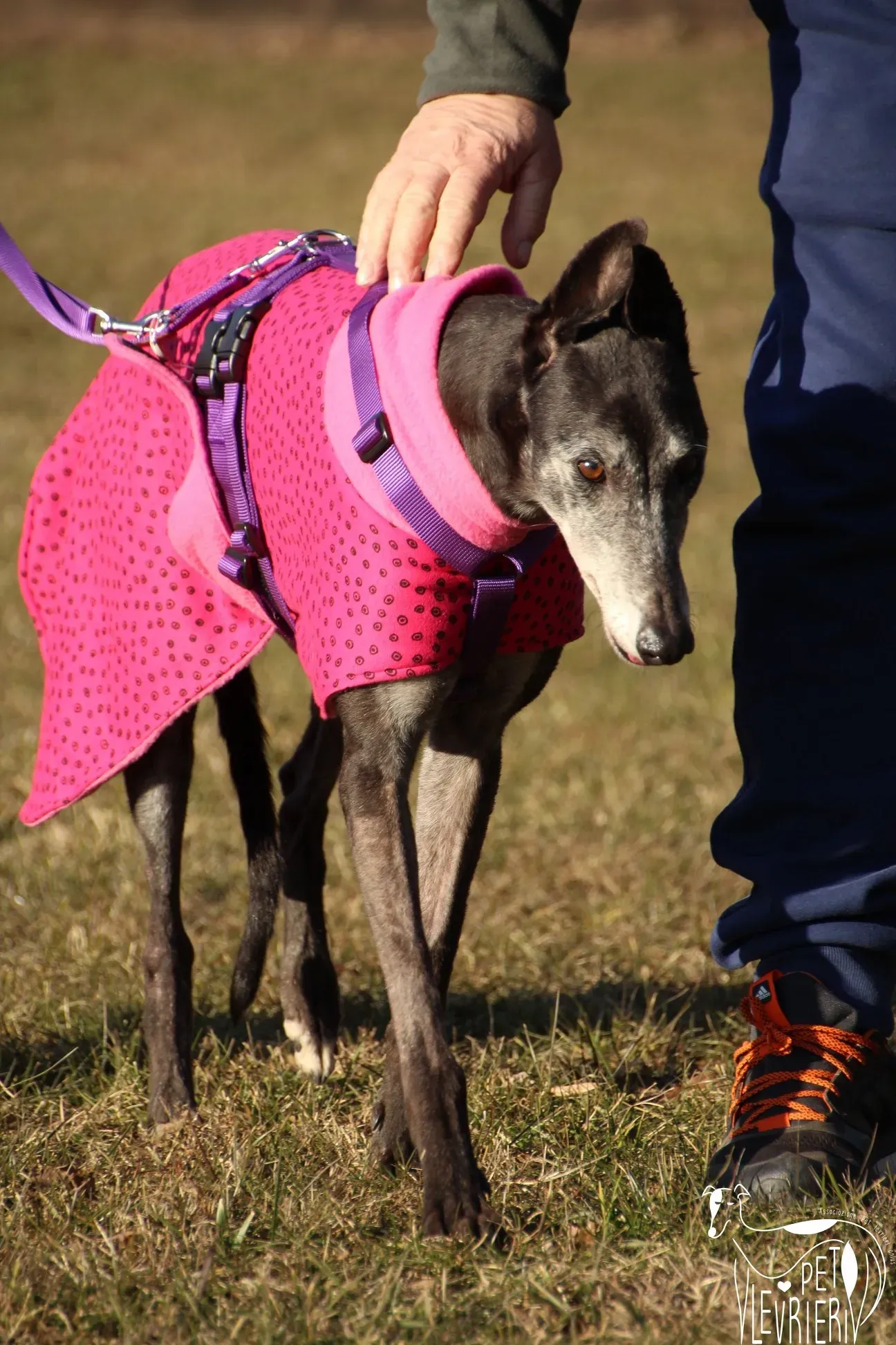 D3B3107D 9D60 442B 993E A800B7173EB1