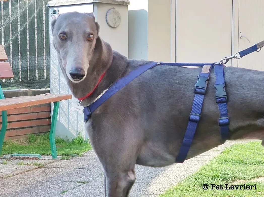 D602BC94 2305 4A00 85D7 DEC4B8F9C847