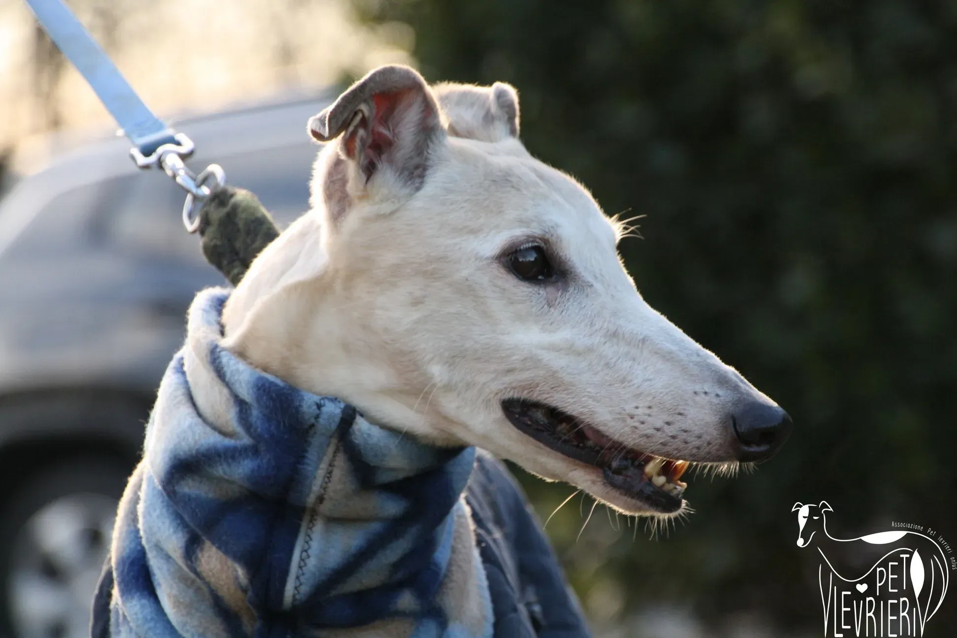 D6ACA237 F690 4BB4 B842 96630BF52342