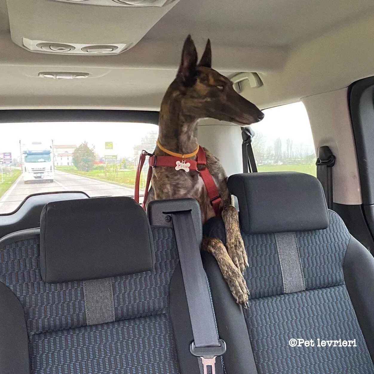 D7270F6E 6708 4DE6 99F8 B4AA08C0E873