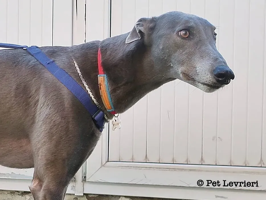 D7EAFAEE A000 4B13 9789 9CFD60CD211C