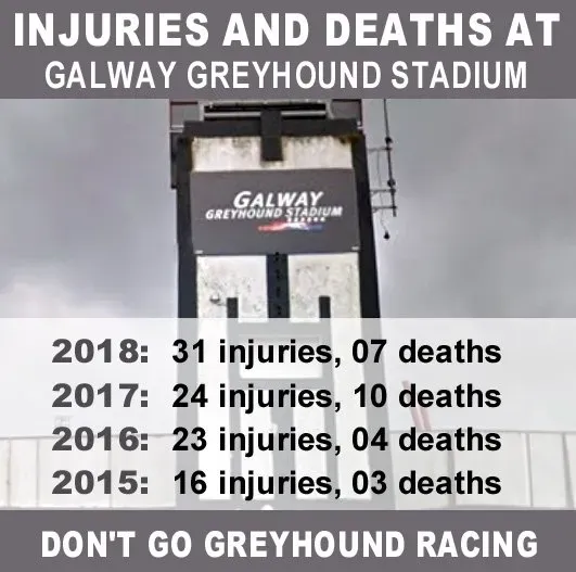 D84pOmUWkAIgfXj.jpg large