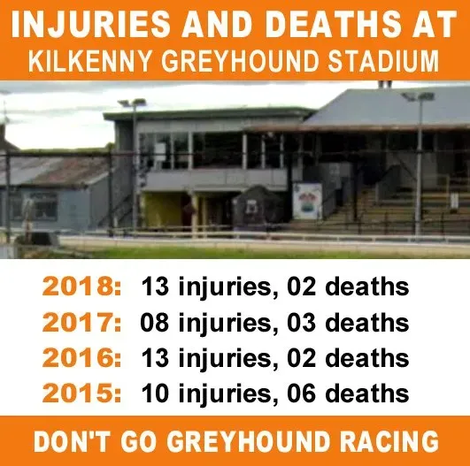 D89r9msXUAEnIf0.jpg large