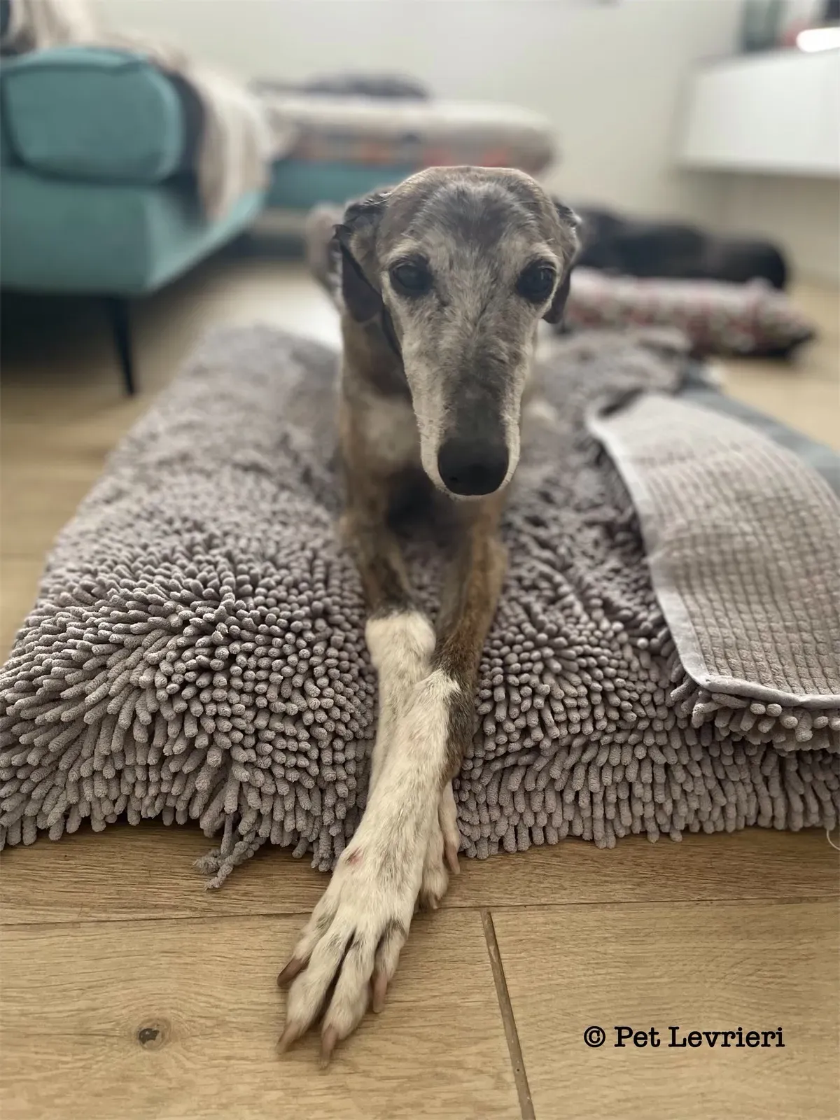 D8BF869C 26FC 491E BBBA BA51FAADF58D