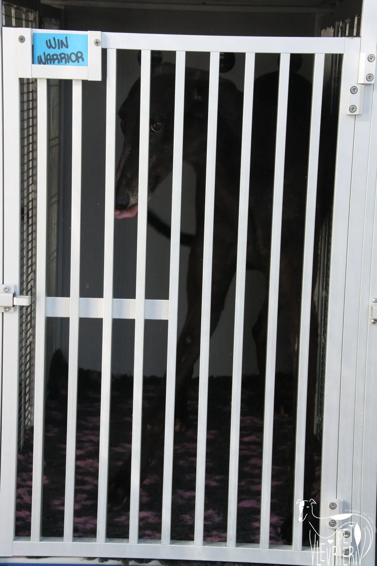 D8E47D9F E17E 4A72 BBDD 1120DD9331AB