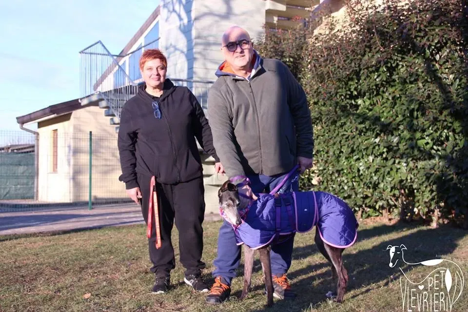 D94517B4 0AE4 425F AED0 5DEA4D19DBB3