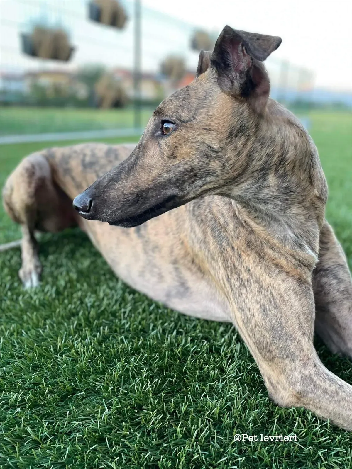 DC92F5B3 ACCA 4D58 AACE 6D8984593895