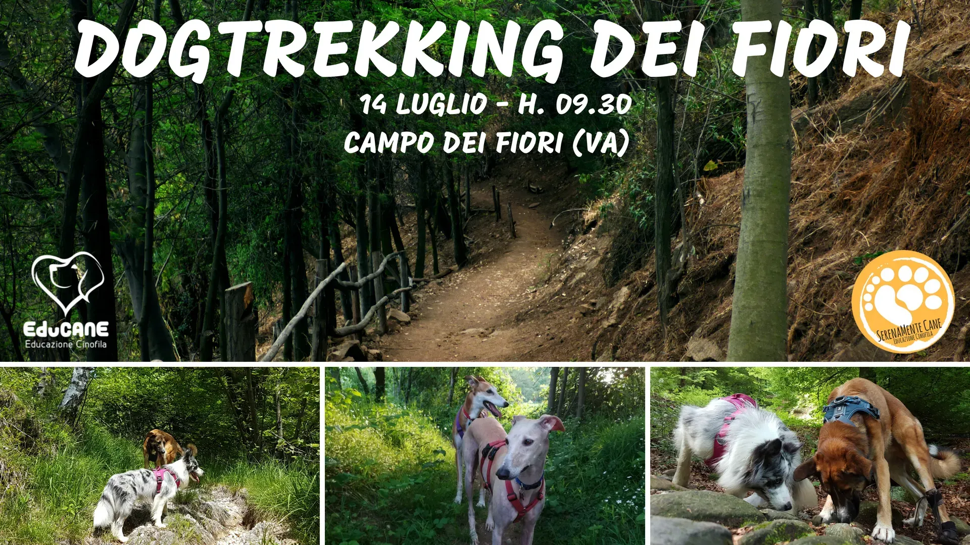 DOGTREKKING DEI FIORI