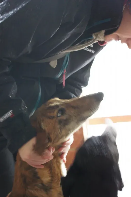 DSC03158 LITRI e1455641759181