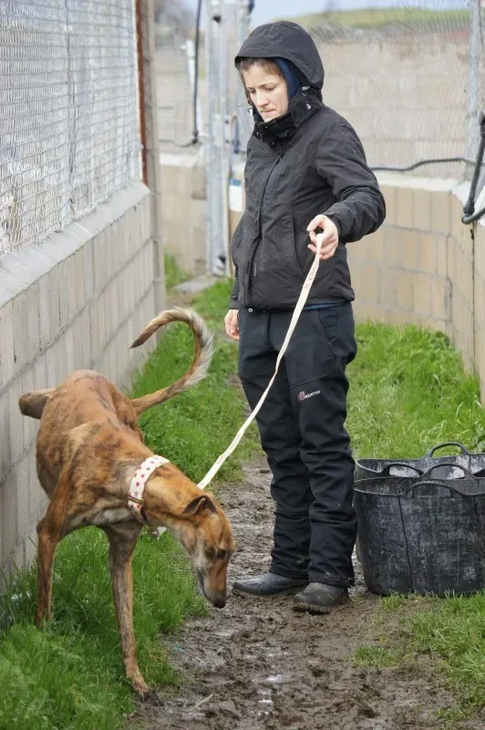 DSC03163 LITRI e1455641741218