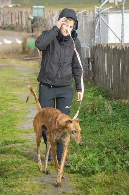 DSC03169 LITRI e1455641598140