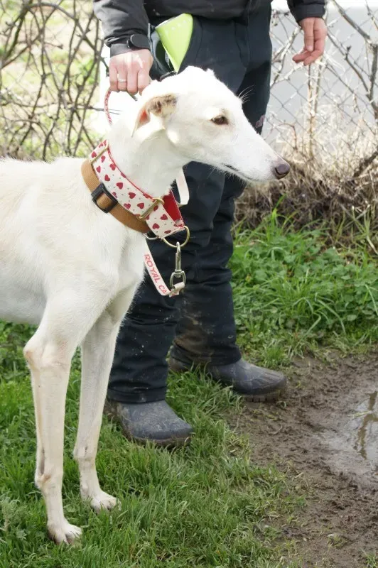 DSC03261 JASMINA 1 e1455814012930