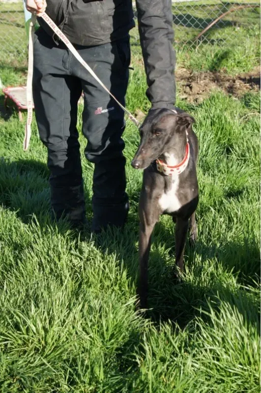 DSC03329 e1456469173980