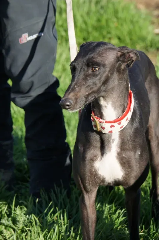 DSC03330 e1456469146281