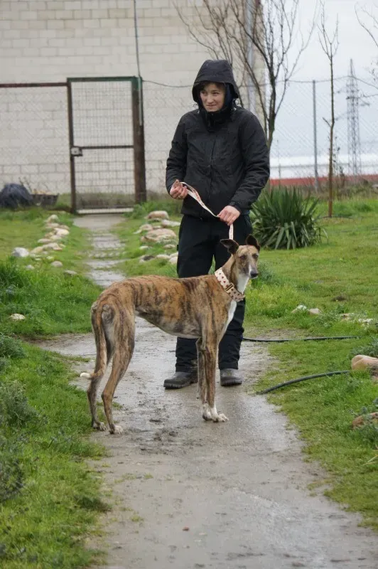 DSC03351 LOBA 2 e1456430940995