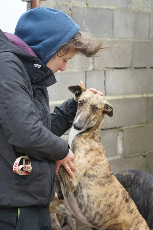 DSC03376 LOBA e1456430910184