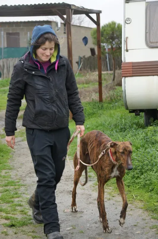 DSC03401 RAMBO e1456439709808