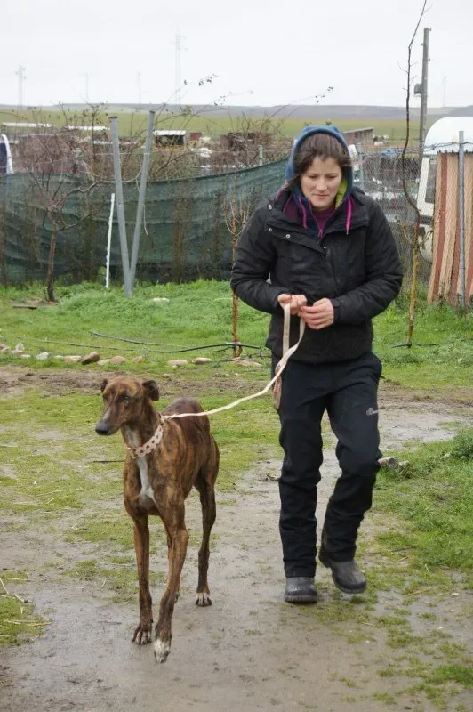 DSC03402 RAMBO e1456439767432